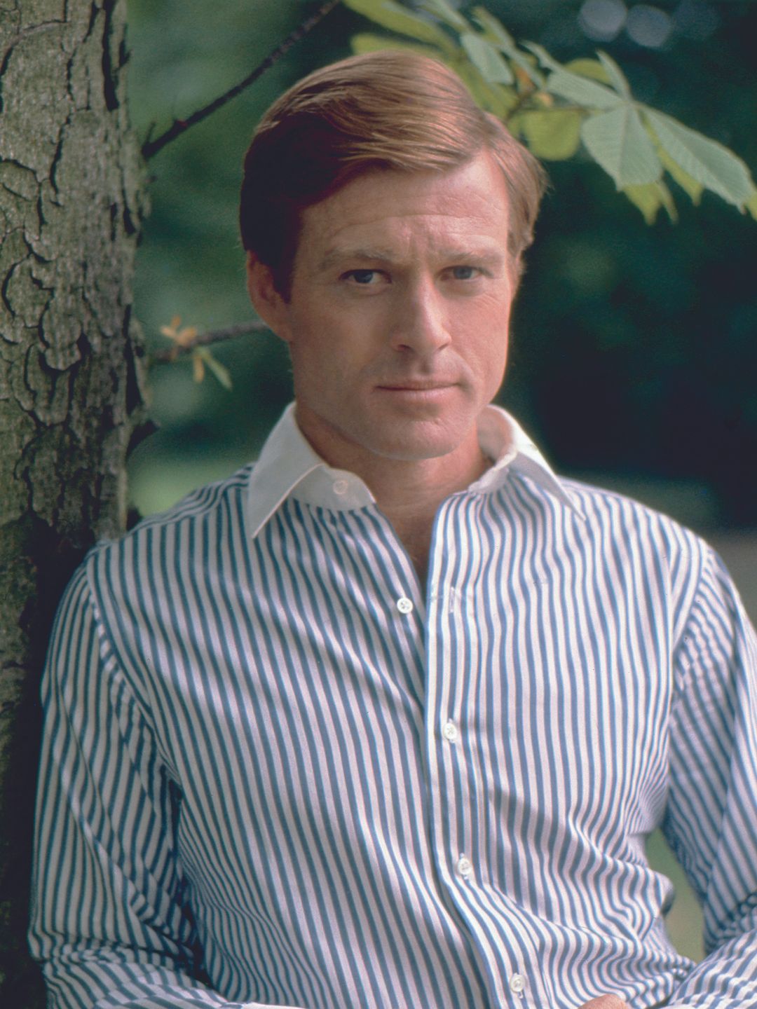 Robert Redford