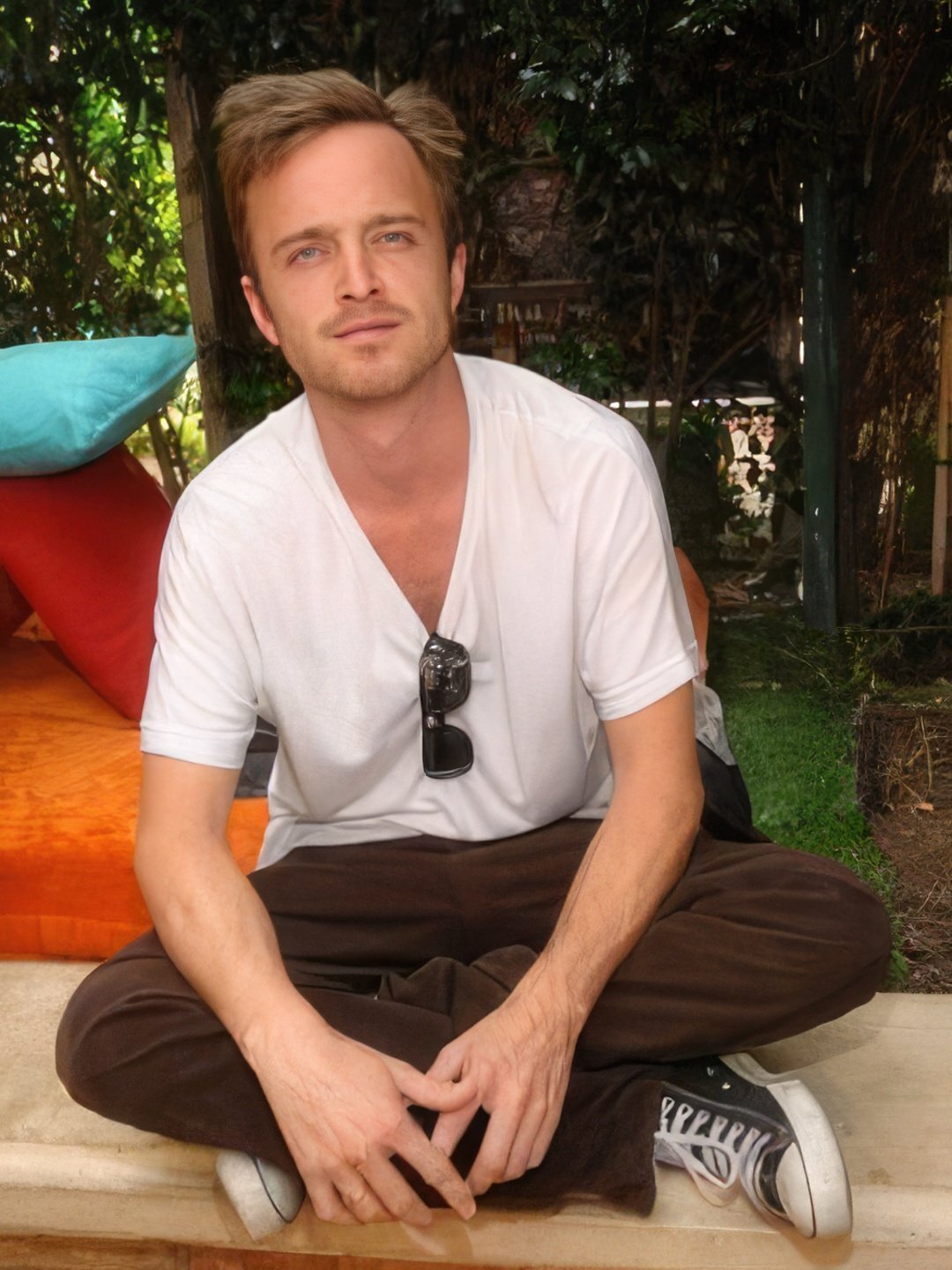 Aaron Paul