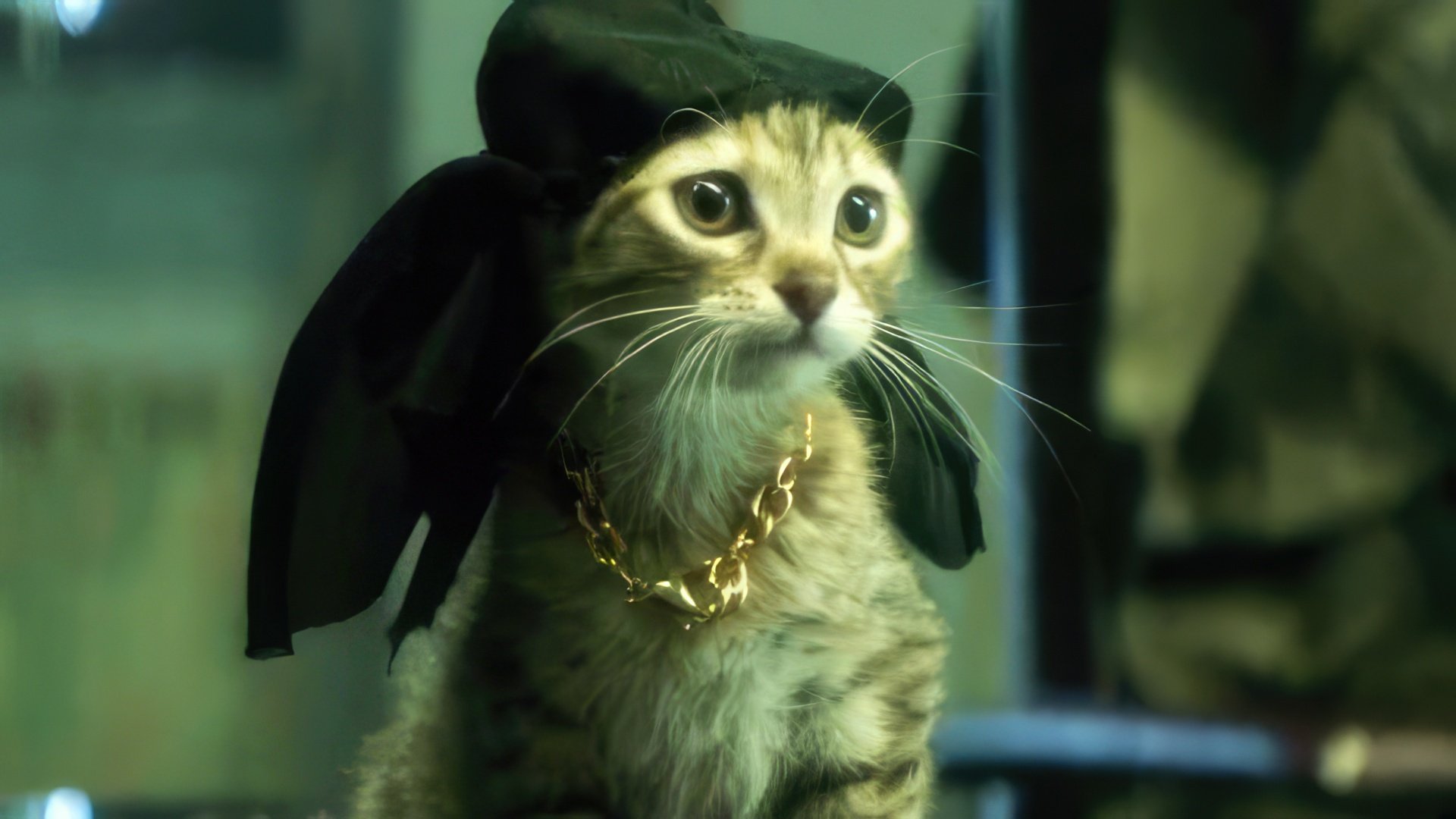 Futrzasty imiennik Keanu Reevesa