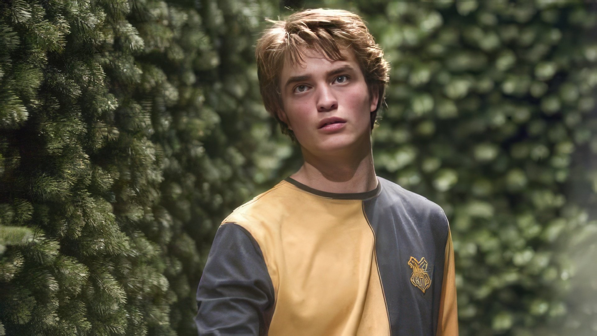 Robert Pattinson jako Cedric Diggory