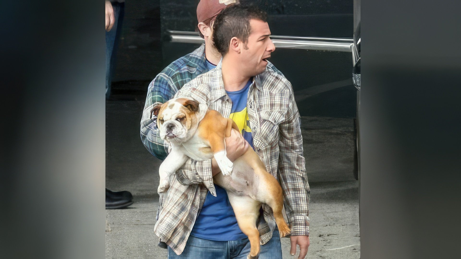 Adam Sandler i jego pies o imieniu Matzball