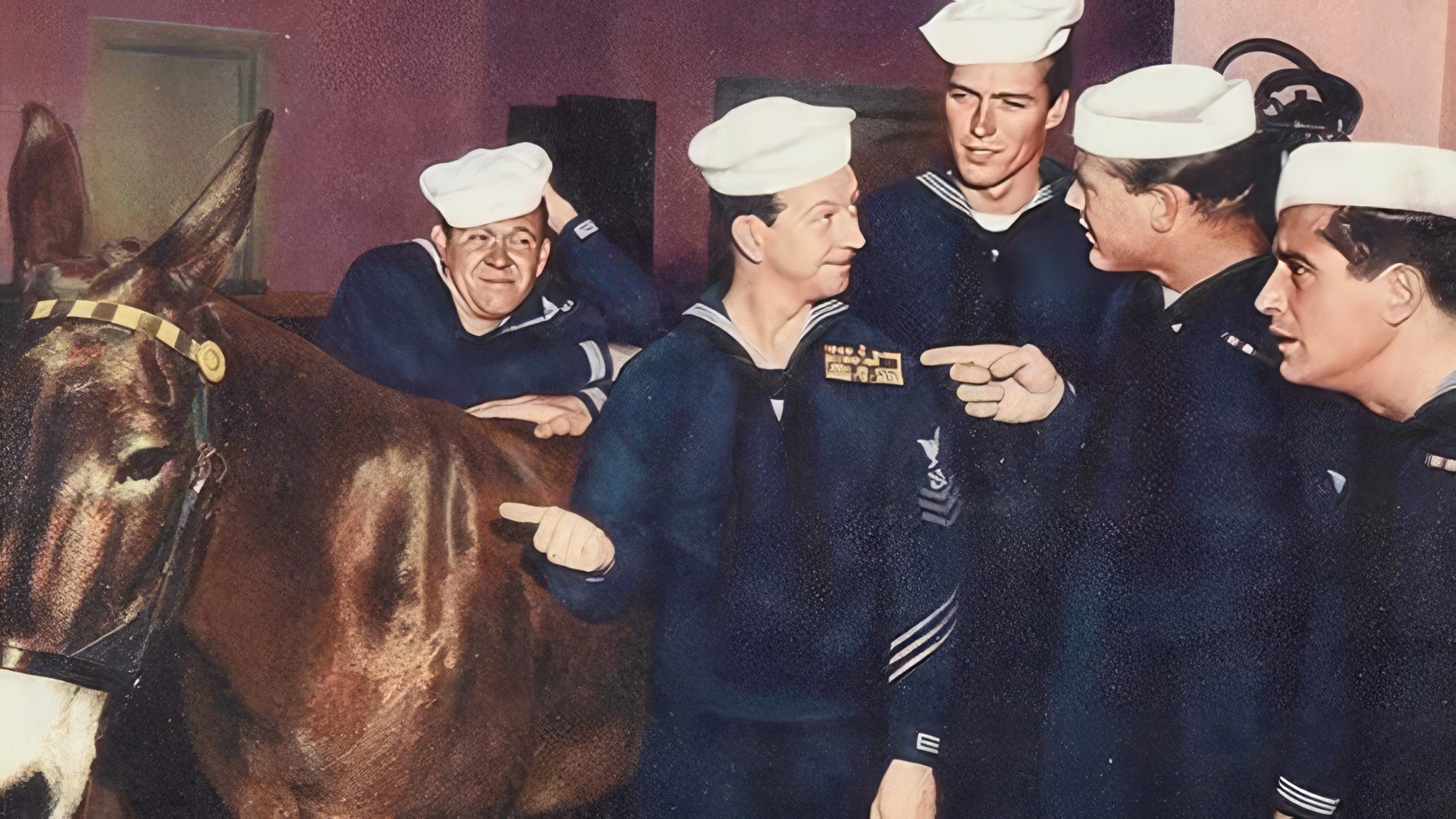 Clint Eastwood w "Francis in the Navy"