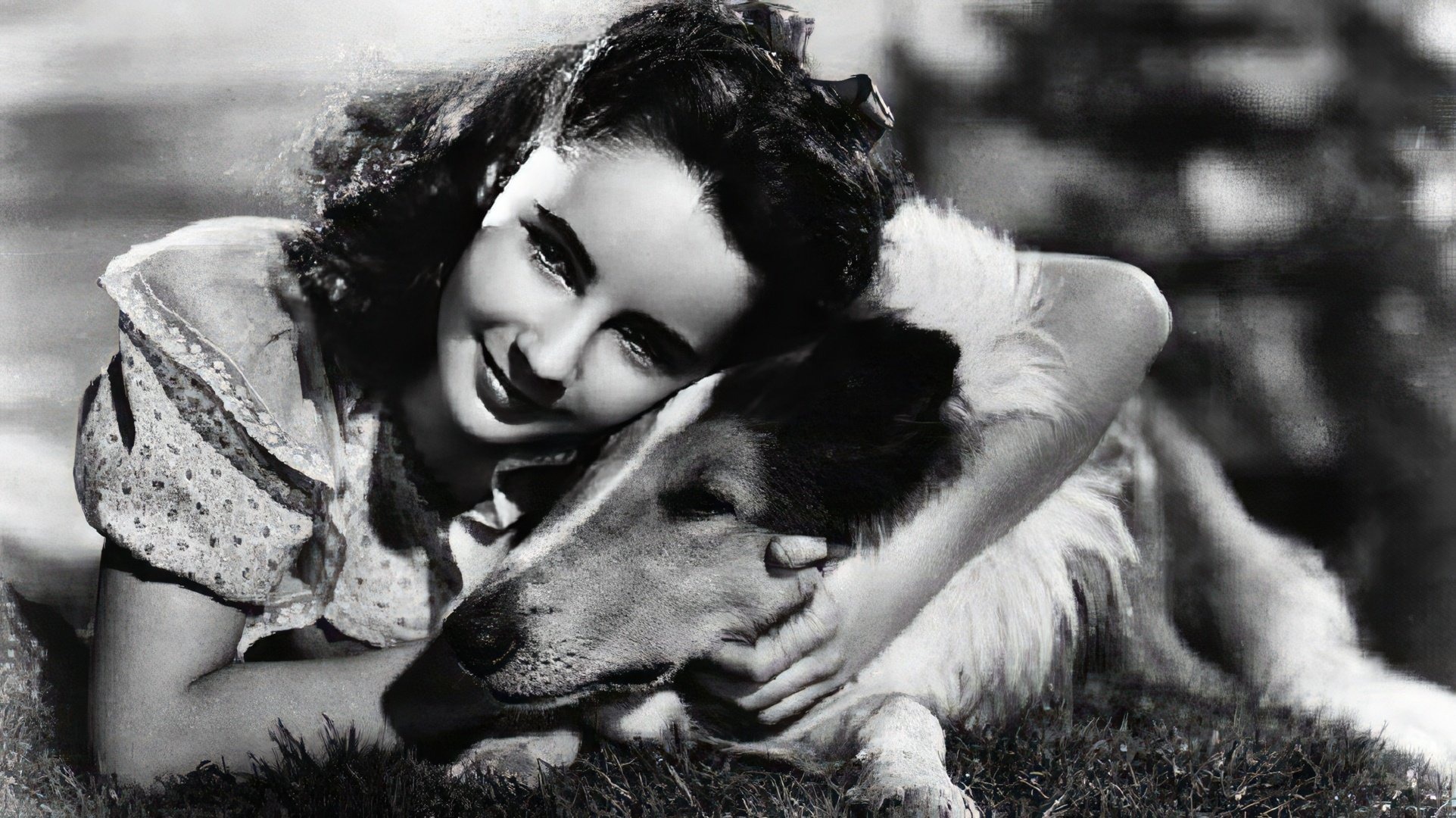 Kadr z filmu 'Lassie Come Home'