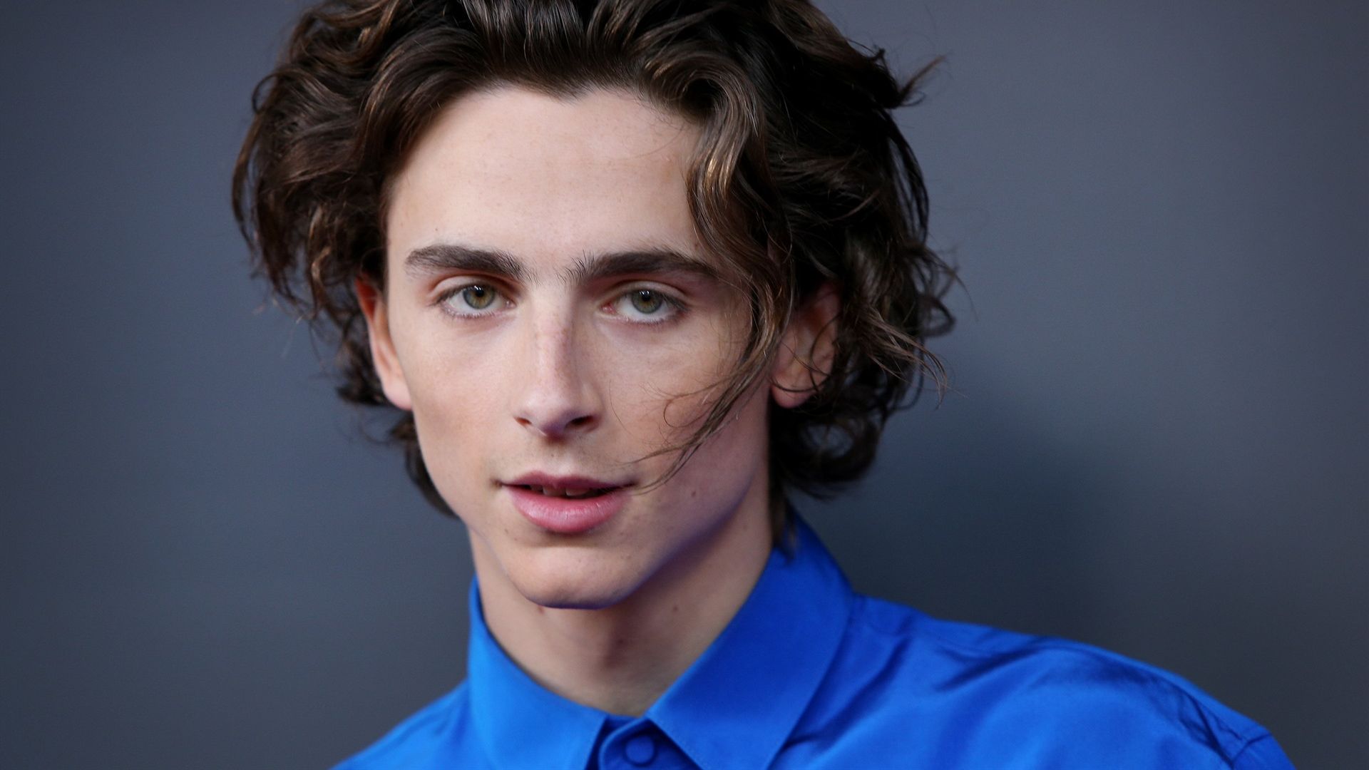 Timothée Chalamet – Koziorożec według horoskopu