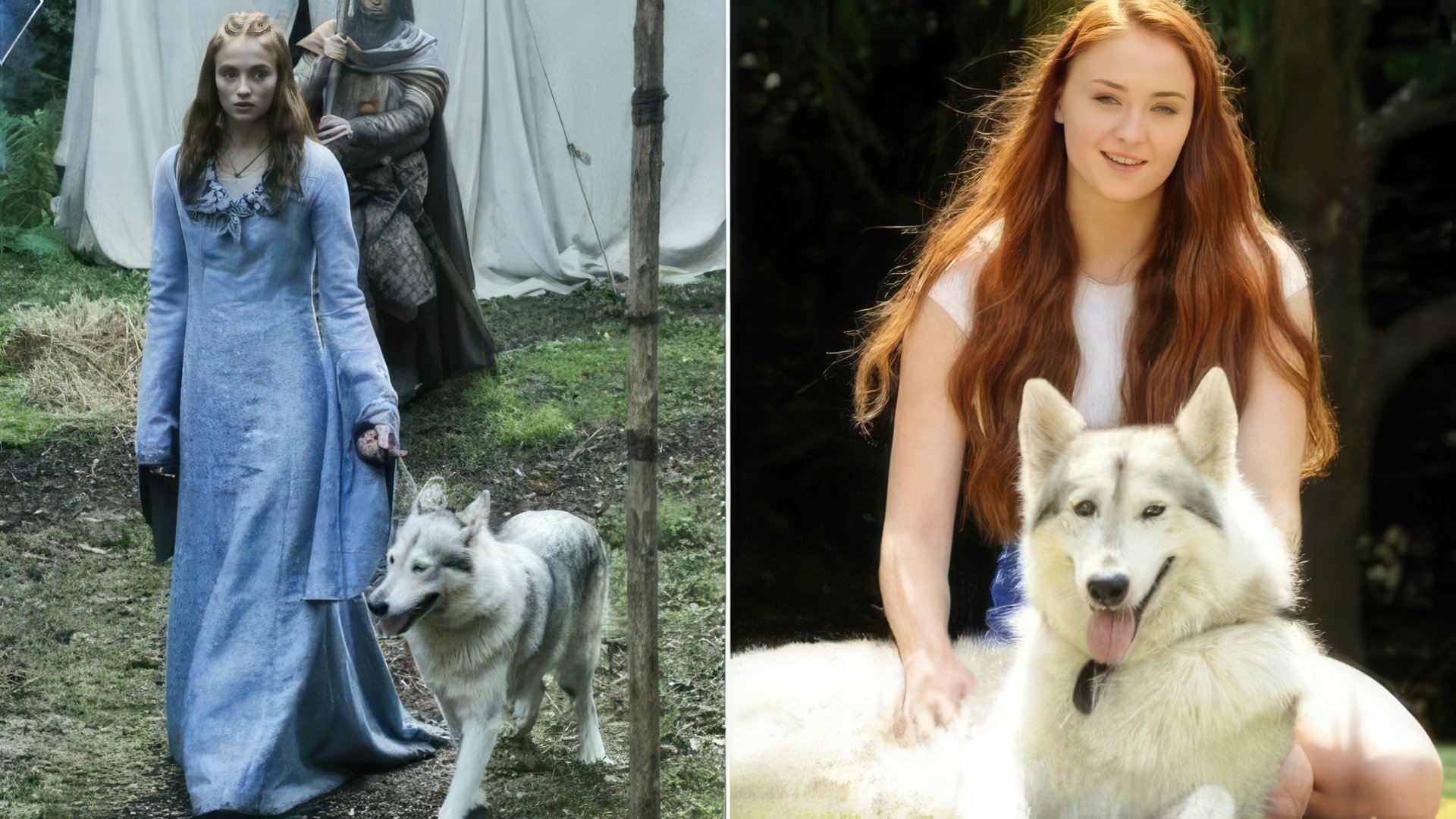 Sansa Stark i jej wilkor Lady poza planem