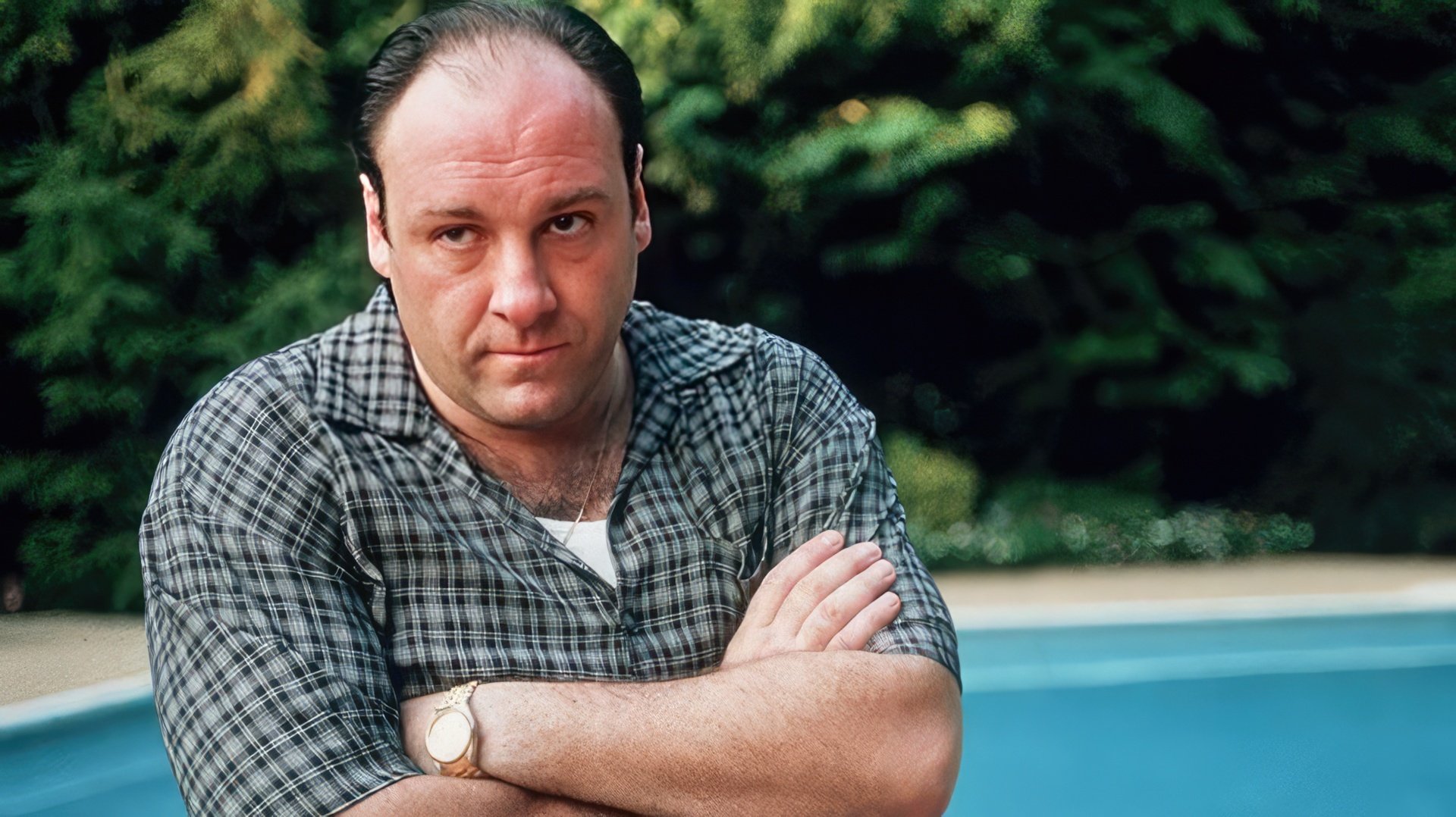 James Gandolfini jako Tony Soprano