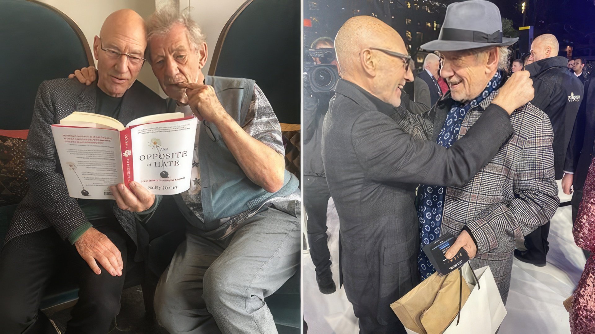 Patrick Stewart i Ian McKellen