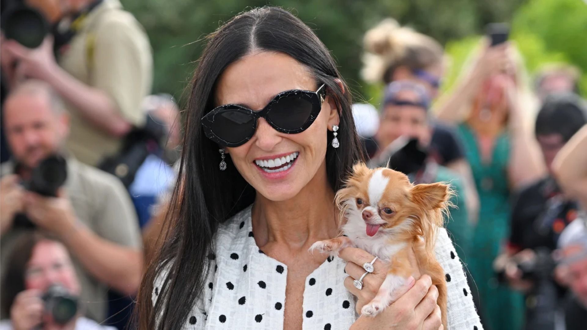 Demi Moore i jeden z jej chihuahua