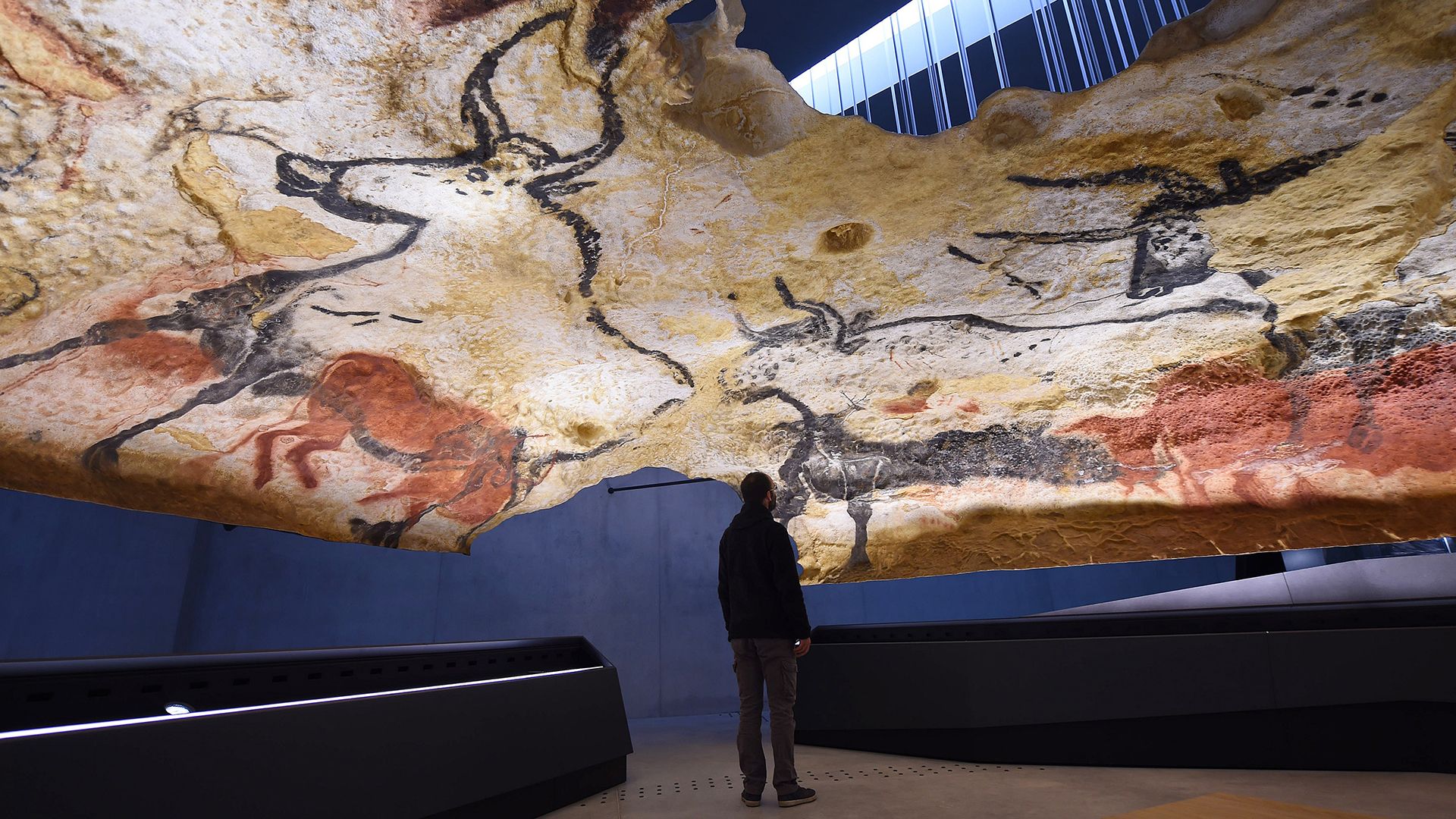 Kopie rysunków z jaskini Lascaux w muzeum