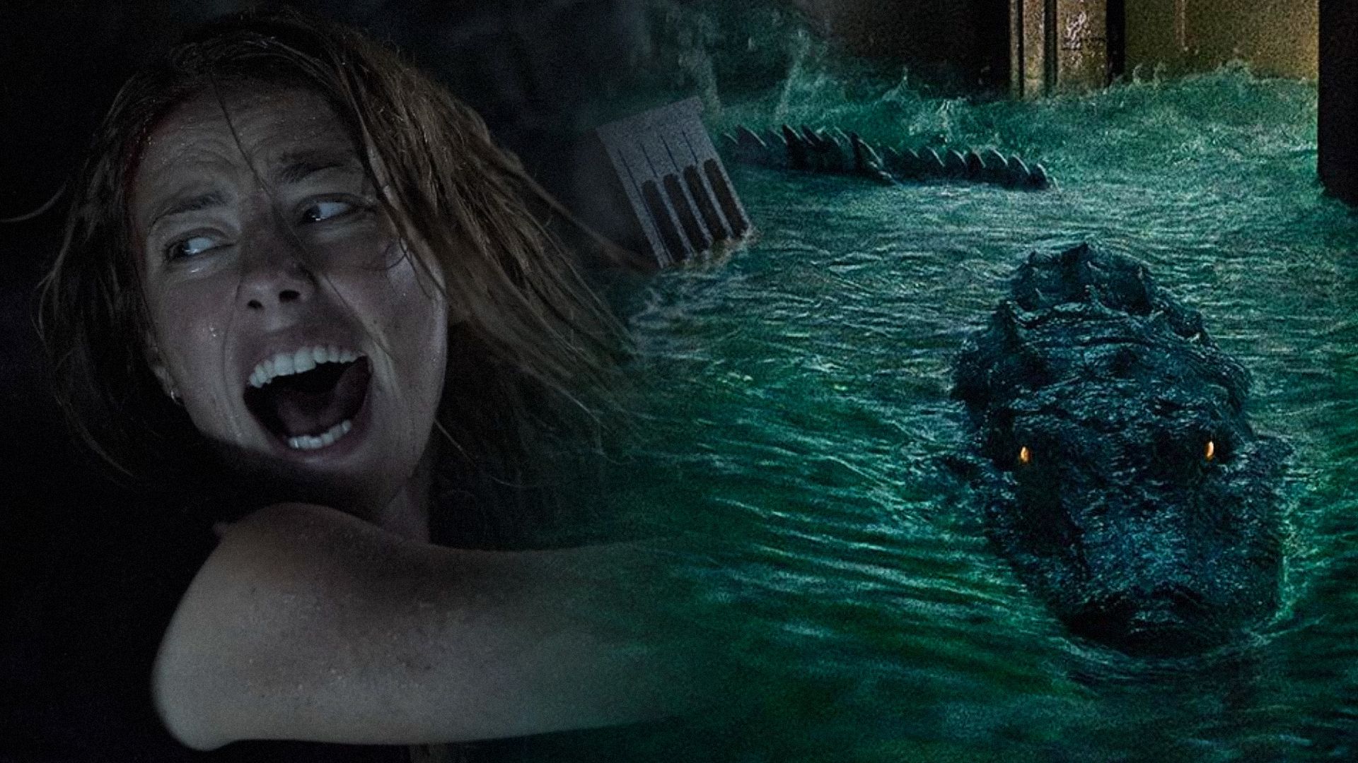 Krzycząca dziewczyna w czarnej koszulce i aligator pływający przez zalane mieszkanie