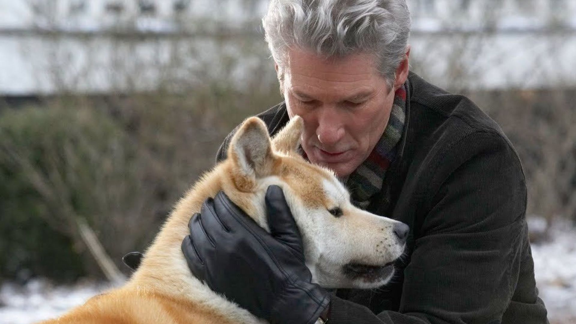 Richard Gere przytula rudego psa rasy Akita Inu