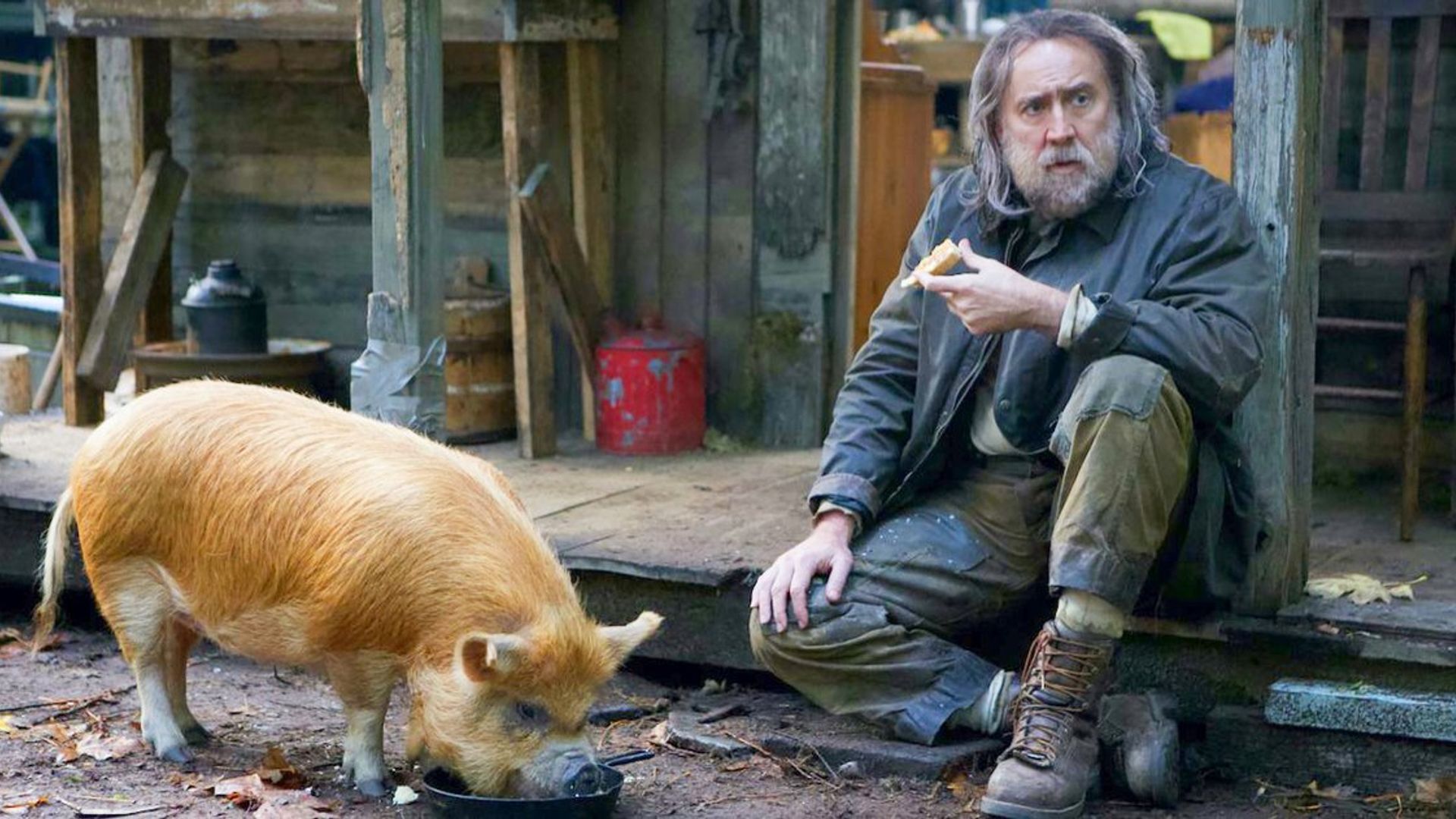 Nicolas Cage z brodą siedzi na ganku domu z jedzeniem w ręku obok świni jedzącej z miski