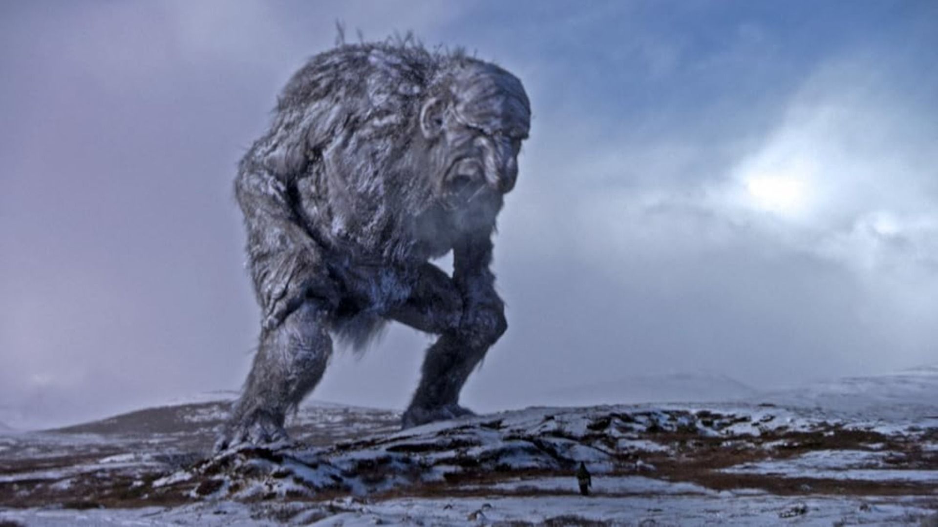 Ukryte perełki: 5 mało znanych filmów, które użytkownicy Reddita uważają za prawdziwe arcydzieła