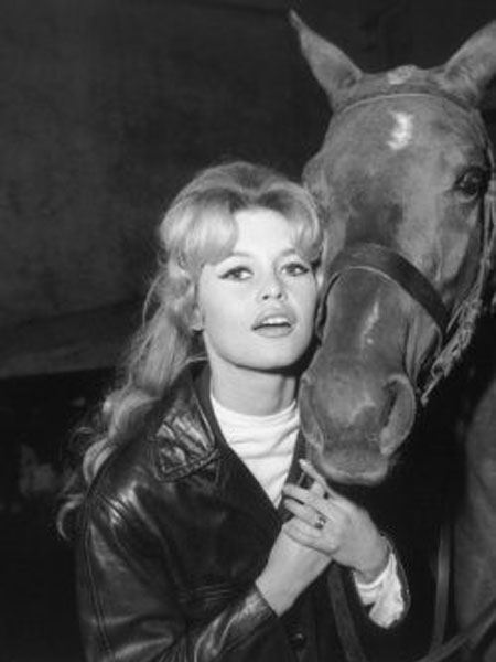 Brigitte Bardot zdjęcie 4