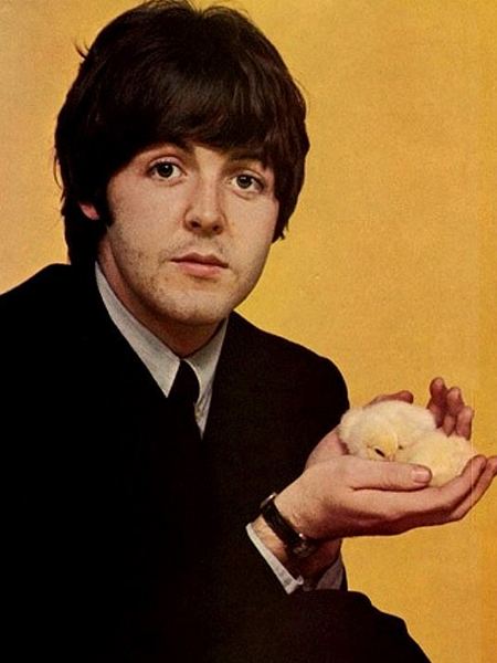 Paul McCartney zdjęcie 4